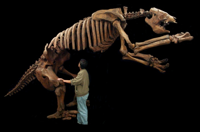 eremotherium giant ground sloth